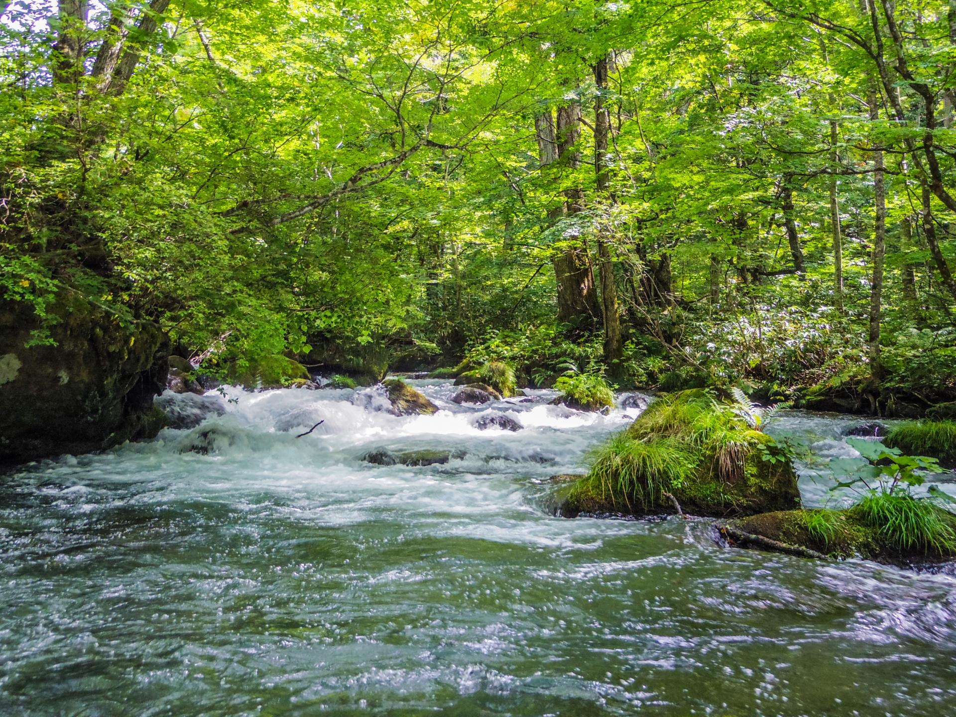 奥入瀬渓流