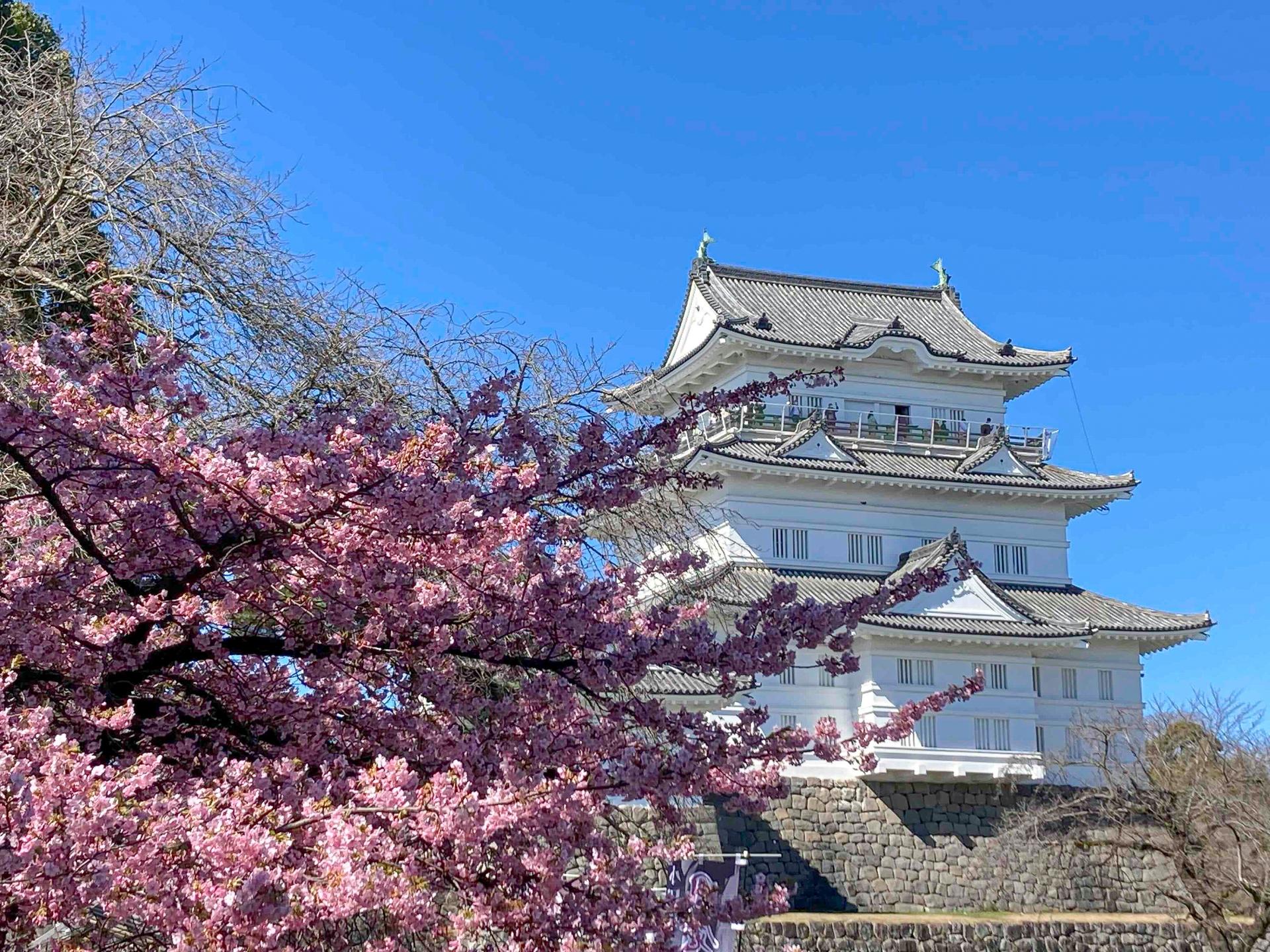 小田原城