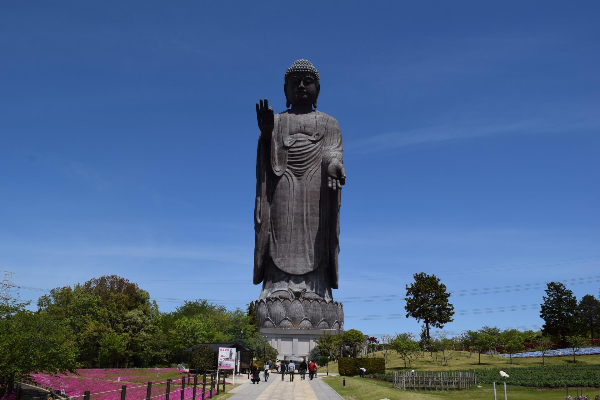 牛久大仏