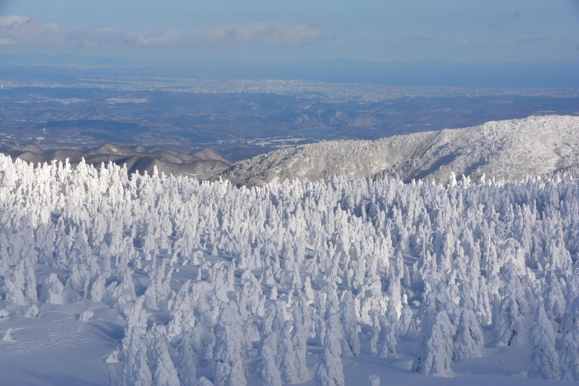 蔵王山